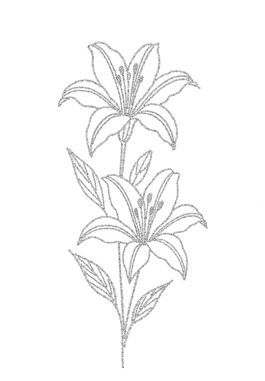Sassy Florals - B**** Lillies